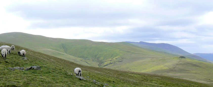 Calfhow Pike & Great Dodd Calfhow Pike & Great Dodd